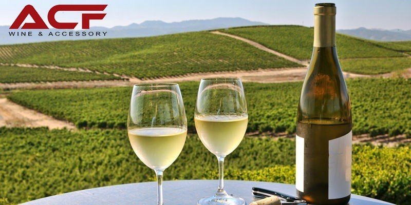 Rượu vang nhập khẩu chính hãng Hải Phòng ACF - Rượu vang Chardonnay